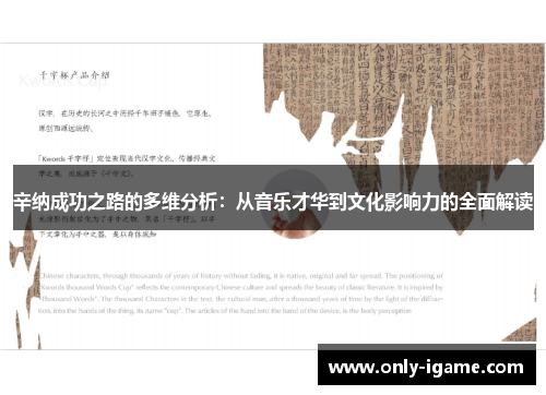 辛纳成功之路的多维分析：从音乐才华到文化影响力的全面解读