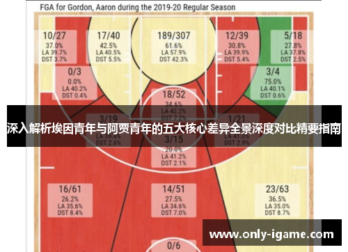 深入解析埃因青年与阿贾青年的五大核心差异全景深度对比精要指南