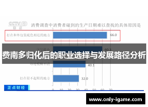 费南多归化后的职业选择与发展路径分析