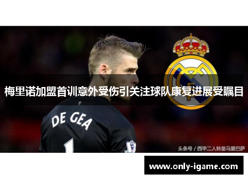 梅里诺加盟首训意外受伤引关注球队康复进展受瞩目